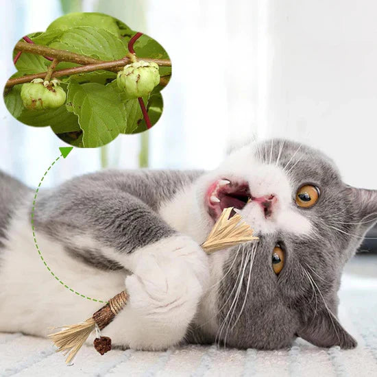 SilverPaws™ - Dé Natuurlijke oplossing voor Ontspanning en Tandgezondheid