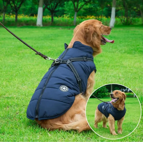 CozyPaw Jas™ – De Ultieme Winterjas met Harnas voor Je Hond