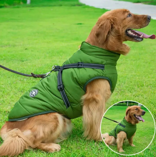 CozyPaw Jas™ – De Ultieme Winterjas met Harnas voor Je Hond