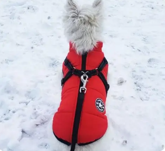CozyPaw Jas™ – De Ultieme Winterjas met Harnas voor Je Hond