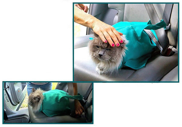 PurrPouch™ - Comfort en Rust voor Katten, Gemak voor Jou!