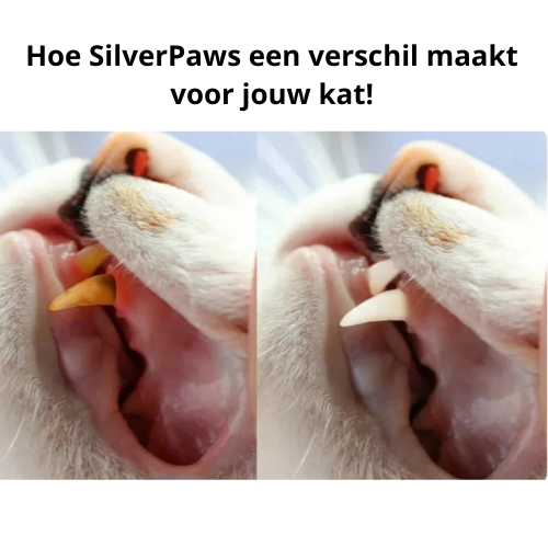 SilverPaws™ - Dé Natuurlijke oplossing voor Ontspanning en Tandgezondheid