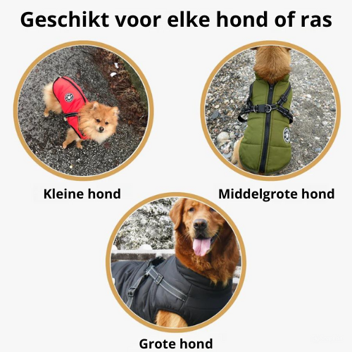 CozyPaw Jas™ – De Ultieme Winterjas met Harnas voor Je Hond