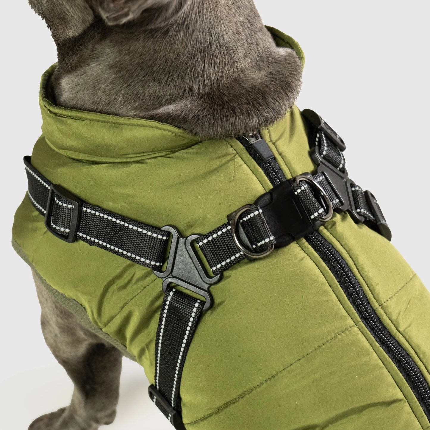 CozyPaw Jas™ – De Ultieme Winterjas met Harnas voor Je Hond