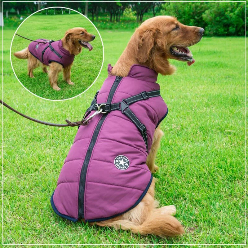 CozyPaw Jas™ – De Ultieme Winterjas met Harnas voor Je Hond