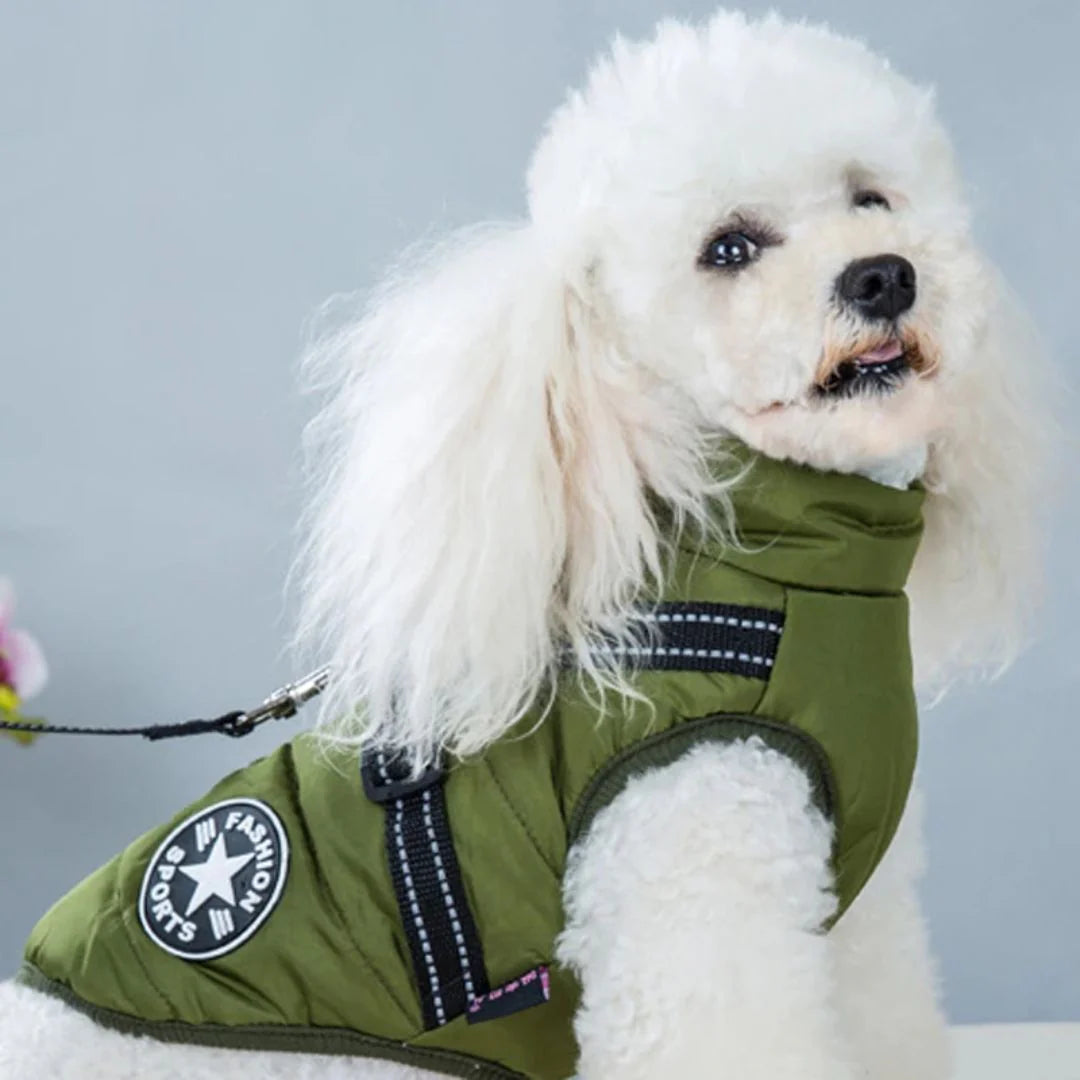 CozyPaw Jas™ – De Ultieme Winterjas met Harnas voor Je Hond