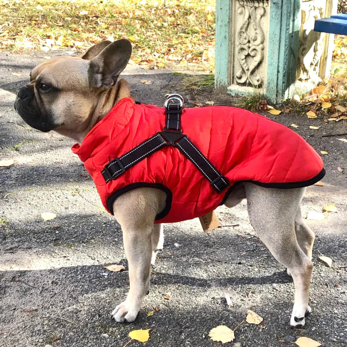 CozyPaw Jas™ – De Ultieme Winterjas met Harnas voor Je Hond