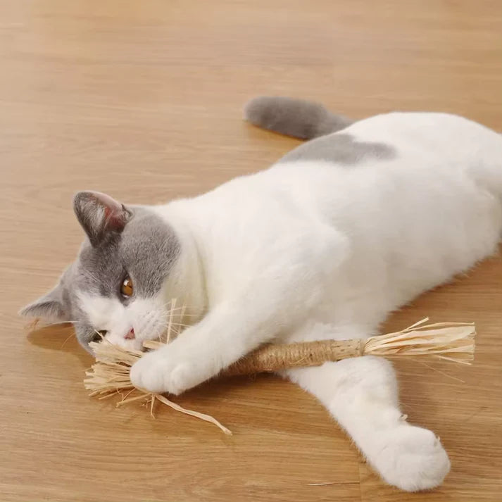 SilverPaws™ - Dé Natuurlijke oplossing voor Ontspanning en Tandgezondheid