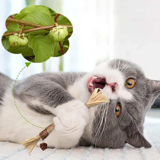 SilverPaws™ - Dé Natuurlijke oplossing voor Ontspanning en Tandgezondheid