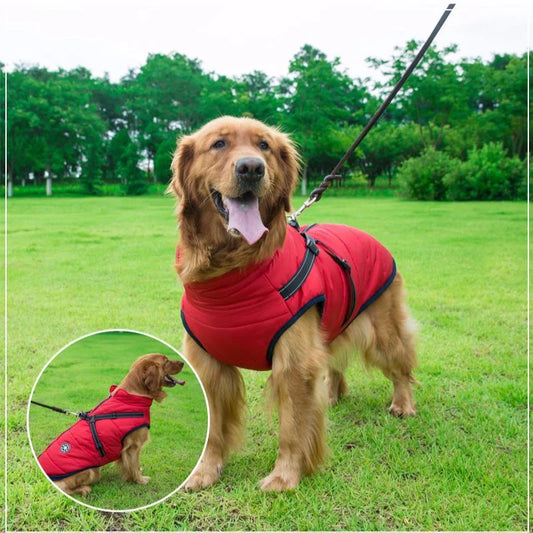 CozyPaw Jas™ – De Ultieme Winterjas met Harnas voor Je Hond